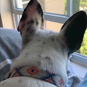 Meet your Posher, Candice